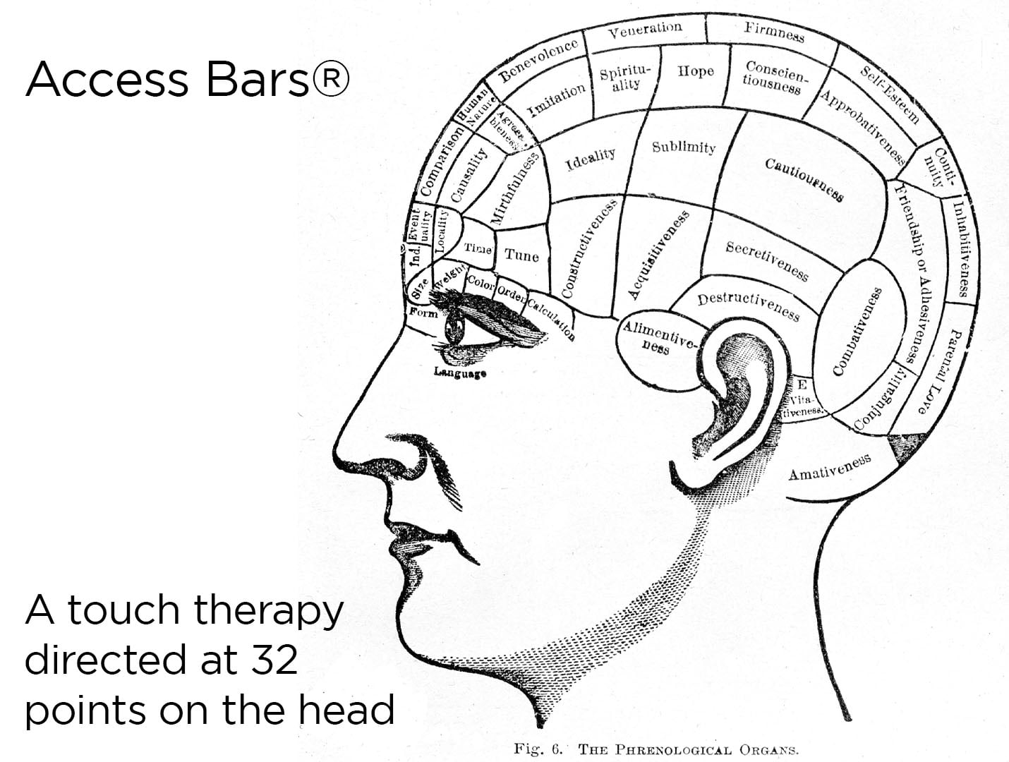 ibogaine treatment and access bars®