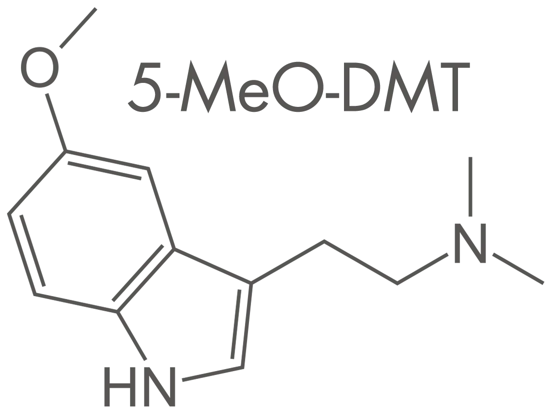 integrated ibogaine treatment viraha wellness center bufo and ibogaine treatment